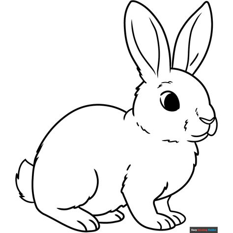 Free Rabbit Coloring Page for Kids Printable Rabbit Pictures, Rabbit Drawing For Kids, Rabbit Drawing Easy, Rabbit Outline, Rabbit Coloring Pages, Rabbit Printable, Drawing Rabbit, Rabbit Coloring, Watercolor Cookies