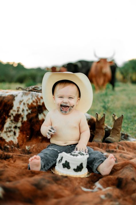 First birthday smash cake idea
Cow smash cake 
Cows Steak And Potato Smash Cake, Smash Photoshoot First Birthdays, My First Rodeo Birthday Pictures, One Year Old Western Photoshoot, Rodeo First Birthday Pictures, First Birthday Cowboy Photoshoot, First Birthday Steak Smash, My First Rodeo Birthday Boy Smash Cake, My First Rodeo Birthday Photoshoot