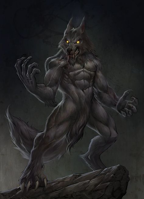 Dawn Of Monsters Werewolf Series by Omega Studios — Kickstarter Werewolf Drawing, Female Werewolves, Werewolf Aesthetic, Humanoid Creatures, Werewolf Art, Vampires And Werewolves, Canine Art, Fantasy Beasts, Wolf Pictures