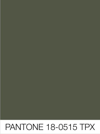 Khaki Green Color Palette, Khaki Green Aesthetic, Khaki Aesthetic, Phone Makeover, Colour Trend, Pantone Palette, Mood And Tone, Solid Color Backgrounds, Modern Love