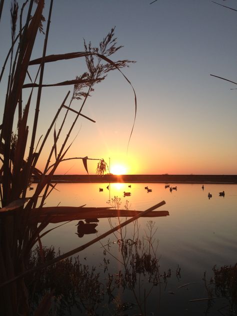 Beautiful sunrise opening morning of duck season. Father-Son time.... Duck Hunting Wallpaper Iphone, Duck Hunting Wallpaper, Fishing Aesthetic, Hunting Wallpaper, Waterfowl Art, Hunting Photography, Goose Hunting, Cowgirl Stuff, Duck Pictures