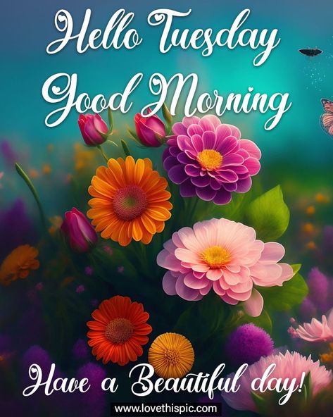 Hello Tuesday, Good Morning. Have A Beautiful Day Good Morning It's Tuesday, Have A Beautiful Day Images, Hello Tuesday Mornings, Hello Tuesday Quotes, Good Morning Tuesday Quotes, Monthly Greetings, Tuesday Morning Wishes, Tuesday Morning Quotes, Morning Tuesday Images