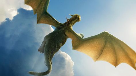 Pete Dragon, Dragon Wallpaper, Disney Live Action Movies, Pixar Films, Disney Animated Movies, Film Disney, Live Action Movie, Widescreen Wallpaper, Disney Live Action