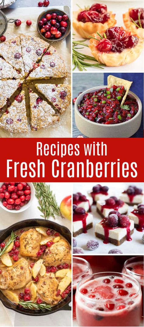 Cranberry Recipes Healthy, Appetizer Desserts, Fresh Cranberry Salad, Cranberry Recipes Thanksgiving, Cranberry Appetizer, Fresh Cranberry Recipes, Recipes For The Holidays, Christmas Cranberry, Cranberry Thanksgiving