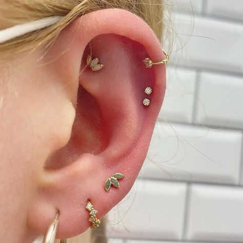 Double Love Piercing, Left Ear Piercings, Double Helix Piercing Ideas, Double Helix Piercings, Double Helix Piercing, Ear Curation, Ear Piercings Chart, Piercing Chart, Helix Piercings