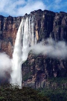 the world's second highest waterfall. Angel Falls. The waterfall in Up is based on this waterfall! Angel Falls Venezuela, Lukisan Lanskap, Angel Falls, Largest Waterfall, Air Terjun, Les Cascades, Boracay, Beautiful Waterfalls, Incredible Places