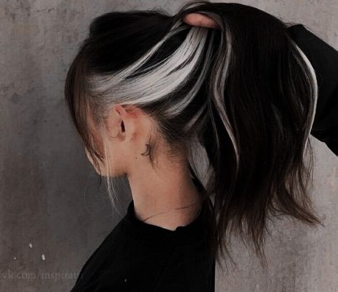 Top Black Bottom Platinum Hair, Dark Hair Color Balayage Ideas, Peekaboo With Black Hair, Black Hair With Silver Peekaboo, Black Hair Grey Underneath, Brunette Hair White Highlights, Black And Silver Peekaboo Hair, Black Hair Silver Underneath, Peekaboo Grey Hair