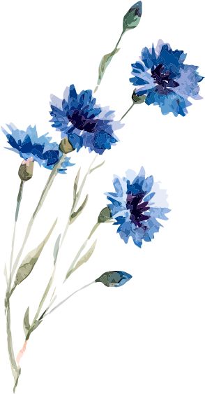 Cool Flowers Drawings, Blue Painting Watercolor, Flower Inspo Painting, Painting Ideas Watercolor Flowers, Painted Flowers Watercolor, Blue Flowers Watercolor Painting, Paintings Of Blue Flowers, Watercolour Blue Flowers, Painting Flowers Watercolor