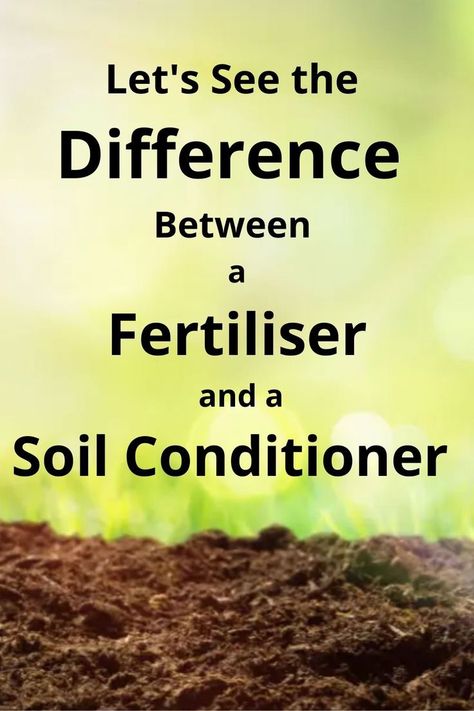 More information about "What Is the Difference Between a Fertiliser and a Soil Conditioner?" can be found here. Australian Photography, Soil Conditioner, Australian Wildlife, O Canada, Australia Day, What Is The Difference Between, Daylilies, The Soil, Types Of Soil