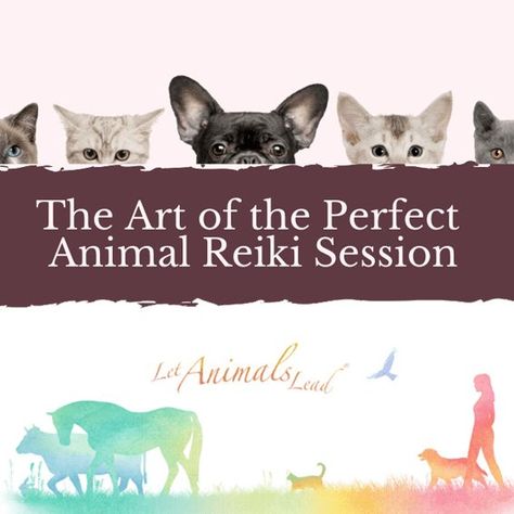 The Art of the Perfect Animal Reiki Session | Kathleen Prasad's Animal Reiki Source Pet Healing, Reiki Session, Reiki Room, Holistic Pet Care, Reiki Training, Animal Reiki, Pranic Healing, Dog Grooming Salons, Reiki Healer