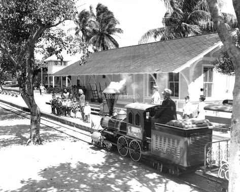 Crandon Park Zoo | Flashback Miami Miami Attractions, Crandon Park, Miami Photos, Vintage Miami, Florida Art, Key Biscayne, Magic City, Old Florida, Vintage Florida