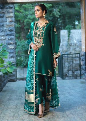 Green Salwar Kameez, Salwar Kameez Pakistani, Kameez Designs, Pakistani Wedding Dresses, Embroidery Suits Design, Boutique Dress Designs, Embroidery Designs Fashion, Salwar Kameez Designs, Stylish Dress Book