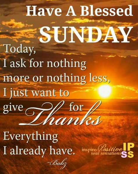 Sunday Sunday Morning Memes, Blessed Sunday Morning, Blessed Sunday Quotes, Sunday Prayer, Sunday Morning Quotes, Happy Sunday Morning, Sunday Greetings, Good Sunday Morning, Have A Blessed Sunday