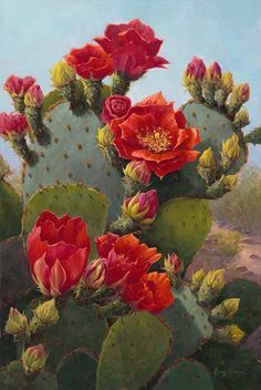 Reach for the Sky 36x24 Kaktus Dan Sukulen, Images Noêl Vintages, Cactus Paintings, Maya Art, Cactus Planta, Blooming Cactus, Cactus Painting, Prickly Pear Cactus, Desert Flowers