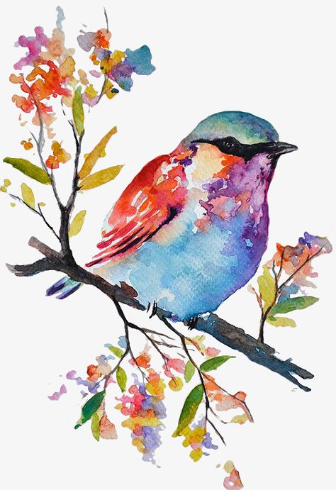 Akvarel Illustration, Bird Watercolor Paintings, Watercolor Paintings For Beginners, Watercolor Paintings Easy, Seni Cat Air, 수채화 그림, Colorful Bird, Lukisan Cat Air, Watercolor Paintings Tutorials