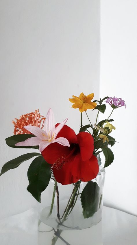 Hibiscus Flower Arrangement, Hibiscus Arrangement, Flowers At Home, Hibiscus Flower, Table Arrangements, Table Flowers, Hibiscus Flowers, Beautiful Blooms, Miniature Art