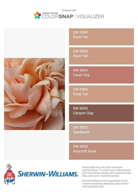 Sherwin Williams Mellow Coral, Coral Clay Sherwin Williams, Coral Sherwin Williams, Coral Clay, Paint Inspiration, Sherwin Williams, Wedding Things, Color Choices, Paint Colors