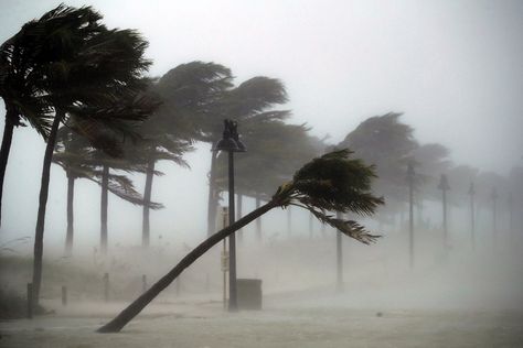 Rain And Thunderstorms, Tropical Storm, Rio Grande, Saint Louis, Tornado, Natural Disasters, Sci Fi, Kids Room, Florida