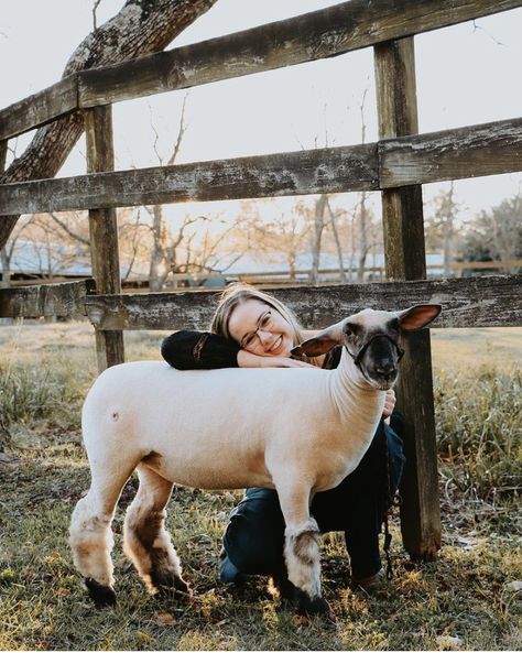 Sheep Senior Pictures, Photoshoot With Goats, Show Lamb Photoshoot, Senior Pictures With Show Lamb, Livestock Senior Pictures Sheep, Livestock Photography Senior Pics, Livestock Senior Pictures Goats, Senior Pictures With Goats, Senior Livestock Pictures