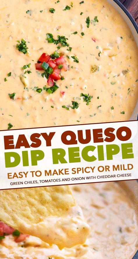 Easy Queso Dip, Mexican Cheese Dip, Easy Queso, Mexican Appetizer, Velveeta Queso, Cheese Dip Mexican, Queso Dip Recipe, The Chunky Chef, Chunky Chef