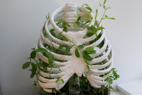 Agglutination Finished sculpture for my year 12 Studio Arts class using Oz Clay, Plaster of Paris, and sweet peas Smink Inspiration, Tanah Liat, A Skeleton, Plant Mom, Plant Lady, Green Aesthetic, Green Plants, Plant Life, Art Studios