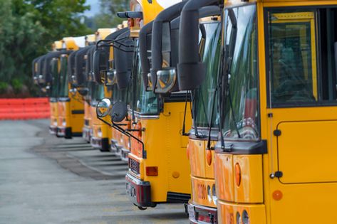 How to cut your bus disciplinary referrals by 67 percent | Page 2 of 2 School Bus Behavior Incentives, Bus Behavior Management, Capturing Kids Hearts, School Bus Driving, Elementary School Principal, Classroom Discipline, Positive Behavior Support, Behavior Incentives, Behavior Rewards