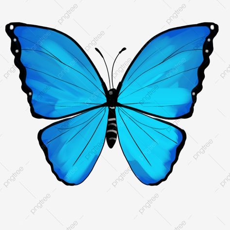 Cartoon Butterfly, Butterfly Illustration, Blue Butterfly, Blue