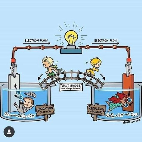 #Galvanic cell with salt bridge Animated and easily explained Galvanic Cell, Chemistry Posters, Chemistry Study Guide, Chemistry Basics, Learn Physics, Study Chemistry, Physics Classroom, مشروعات العلوم, Chemistry Classroom