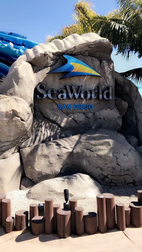 Sea World 2018 Sea World San Diego, Senior Year Scrapbook, Ig Pictures, Year Scrapbook, Seaworld San Diego, 12 Birthday, Summer Board, Rock Tumbler, Night Scenery