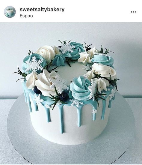 Simple Winter Cake Designs, January Cake Ideas, Winter Themed Cakes, 2d Cakes Design, Simple Elegant Cake Designs, Elegant Christmas Cake Designs, Cake Recipes With Pudding, Elegant Drip Cake, Cakes Recipes Chocolate