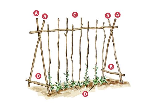 Diy Vegetable Garden, Backyard Trellis, Taman Diy, Diy Garden Trellis, Tanaman Pot, Vertical Vegetable Garden, Diy Trellis, Garden Types, Veg Garden