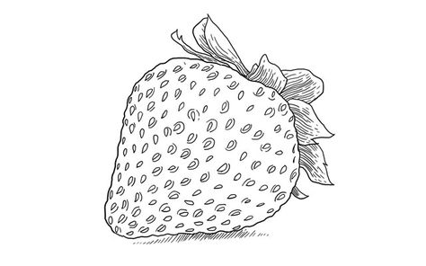 How to Draw a Strawberry – Step by Step | SketchBookNation.com Strawberry Sketch, Draw A Strawberry, English Pictures, Strawberry Drawing, Easy Step By Step Drawing, Drawing Tutorials For Beginners, Pen Sketch, Step Drawing, Small Leaf