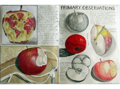 A03 Sketchbook Development, Art Igcse, Gcse Sketchbook, Decay Art, Ib Art, Sketchbook Layout, Natural Form Art, Journal D'art, Observational Study