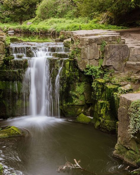 Jonny Lyon on Instagram: “Jesmond Dene Waterfall 📍  Jesmond Dene is a unique haven of space and tranquillity. It is a narrow wooded valley that follows the river…” Reverse Waterfall, Detian Waterfall, Jesmond Dene, Gljúfrabúi Waterfall, Rio Celeste Waterfall, Mystic Waterfall, Local Area, Green Grass, Newcastle