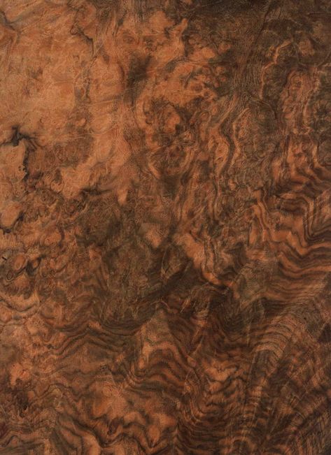 Veneer Pattern, Veneer Texture, Earth Tone Palette, Wood Floor Texture, Photoshop Rendering, Airstream Interior, Stone Wall Cladding, Veneer Panels, Floor Texture