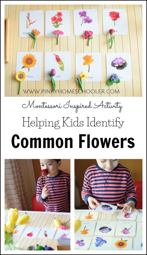 Heloing kids identify common flowers #flowers #preschool #spring #montessori #printables #preschool Montessori Language Activities Preschool, Spring Montessori Activities, Flowers For Preschoolers, Flowers Preschool, Montessori Spring, Common Flowers, Montessori Shelves, Printables Preschool, Math Preschool