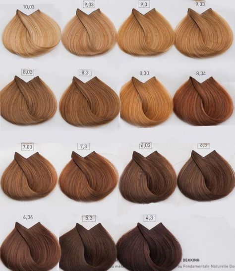 Jahodová Blond, Blond Închis, Loreal Hair Color, Kort Bob, Brown Hair Shades, Honey Brown Hair, Fesyen Rambut, Ginger Hair Color, Hair Color Chart