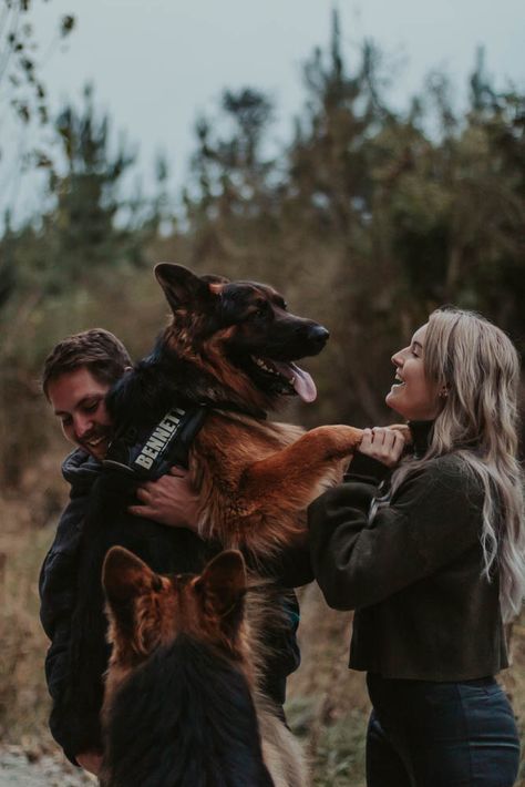 German Shepherd Family, Family Dog Photos, Pet Photography Poses, Family Pet Photography, Cute Puppy Pictures, Dog Photoshoot, Pet Photographer, Dog Parents, Puppy Pictures