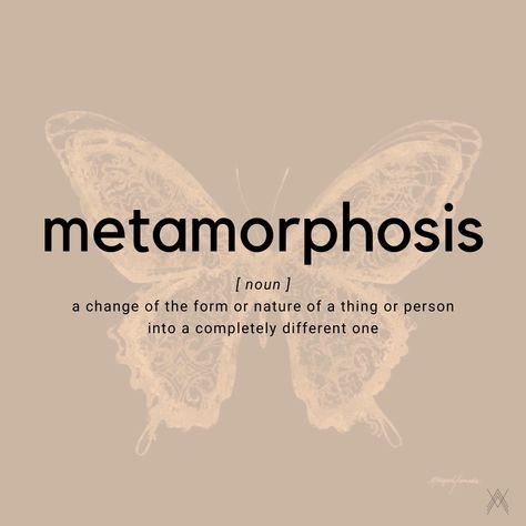 A complete transformation Metamorphosis Quotes, Metamorphosis Art, Coconut Health, Butterfly Transformation, Butterfly Metamorphosis, Transformation Quotes, Unique Words Definitions, Butterfly Quotes, Angelic Realm