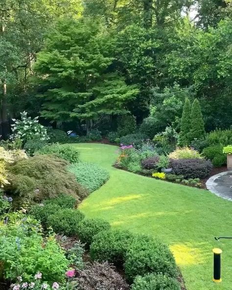 Gardening Pathways, Tiered Backyard, Hinoki Cypress, Fall Garden Vegetables, Desain Lanskap, Recycled Garden, Lawn And Landscape, Small Backyard Ideas, Garden Landscape Design