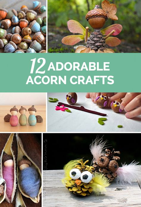 12 Adorable Acorn Crafts for Kids Fall Crafting, Acorn Crafts, Fairy Crafts, Pine Cone Crafts, Autumn Crafts, Fall Crafts For Kids, Crafts For Kids To Make, Seasonal Crafts, Upcycled Crafts