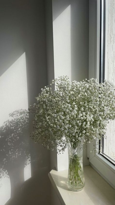 Jipsophil Flower, Gypsophila Vase, Flowers Aethstetic, Baby’s Breath Flowers, Gypsophila Aesthetic, Babies Breath Flowers, Flower Gypsophila, Baby Breath Bouquet, Baby Breath Flower