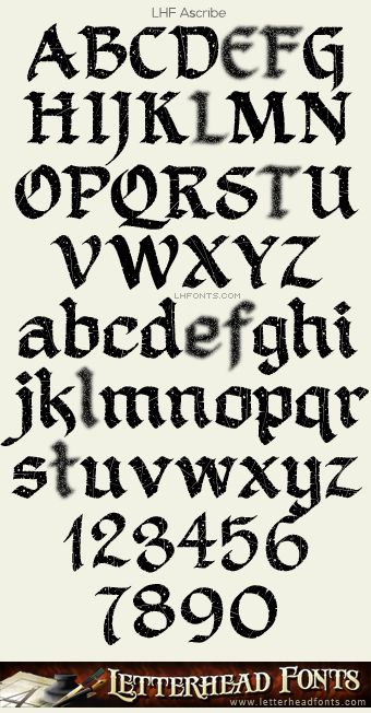 Letterhead Fonts / LHF Ascribe font set / Calligraphic Fonts Calligraphic Fonts, Calligraphy Fonts Alphabet, Gothic Lettering, Tattoo Lettering Styles, English Fonts, Gothic Fonts, Tattoo Lettering Fonts, Hand Lettering Fonts, Hand Lettering Alphabet