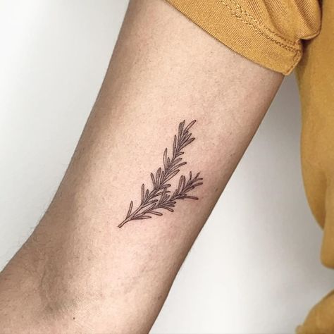 Sprig Tattoo, Rosemary Tattoo, Wishbone Tattoo, Herb Tattoo, Mountain Tattoo Simple, Coffee Tattoos, Poppies Tattoo, Tattoo People, Chest Piece Tattoos