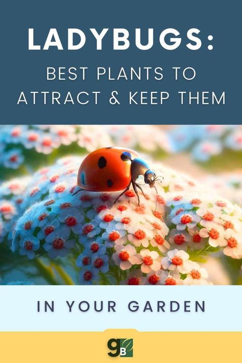 Discover the ultimate guide on how to attract ladybugs to your garden and maintain their presence! Ladybugs are not only beautiful but also incredibly beneficial for your plants. Learn the best plants and methods to attract these friendly insects and keep them thriving in your garden ecosystem. Garden Ecosystem, Garden Pests Control, Perennial Garden Plans, Gardening Herbs, Organic Gardening Pest Control, Herbs Plants, Ladybug Garden, Garden Insects, Natural Pest Control