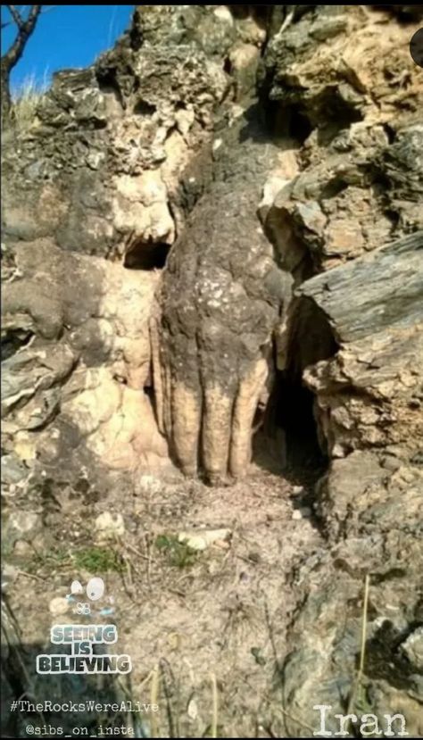 Nephilim Giants, Japanese Sun, Giant People, Ancient Discoveries, Mysteries Of The World, Turn To Stone, Giant Tree, Image 3d, Rock Face