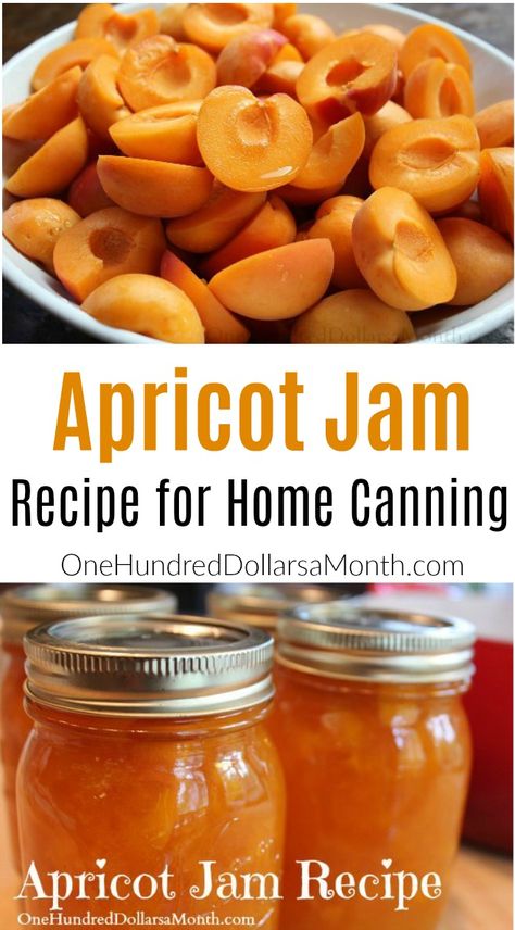 Easy Apricot Jam Recipe, Toast Chicken, Apricot Jam Recipe, Apricot Jam Recipes, Canning Jam Recipes, Gardening Tricks, Apricot Recipes, Modern Homestead, Jam Recipes Homemade