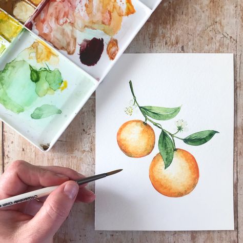 Watercolor Art Orange Fruit, Paint Orange Fruit, Watercolor Oranges Tutorial, Oranges Watercolor Paintings, Orange Tree Watercolor, Orange Watercolor Painting, Watercolor Fruit Tutorial, Watercolour Fruits, Citrus Watercolor