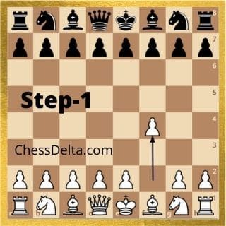 how to win chess in 2 moves Chess Moves To Win, Best Opening Chess Moves, How To Win Chess, Chess Endgame, Chess Basics, Chess Tricks, Poker Rules, Chess Tactics, Learn Chess