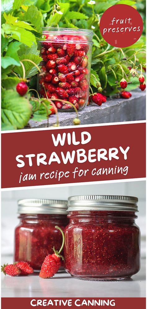 Indulge in the richness of wild strawberries with this canning recipe. Alpine strawberries, with their intense flavor, make the most delicious jam that is sure to be a hit. Spread it on fresh bread or use it in desserts; the possibilities are endless. Get ready to fall in love with this homemade goodness! Wild Strawberry Recipes, Fruit Preserves Recipe, Water Canning, Canning Fruit Recipes, Alpine Strawberry, Canning Jam Recipes, Alpine Strawberries, Fresh Strawberry Recipes, Pressure Canning Recipes